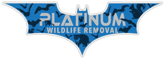 Smart Wildlife Control LLC